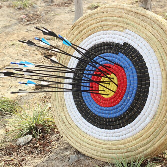 Novice Target Arrows