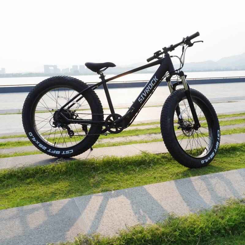 26'' Electric E-bike