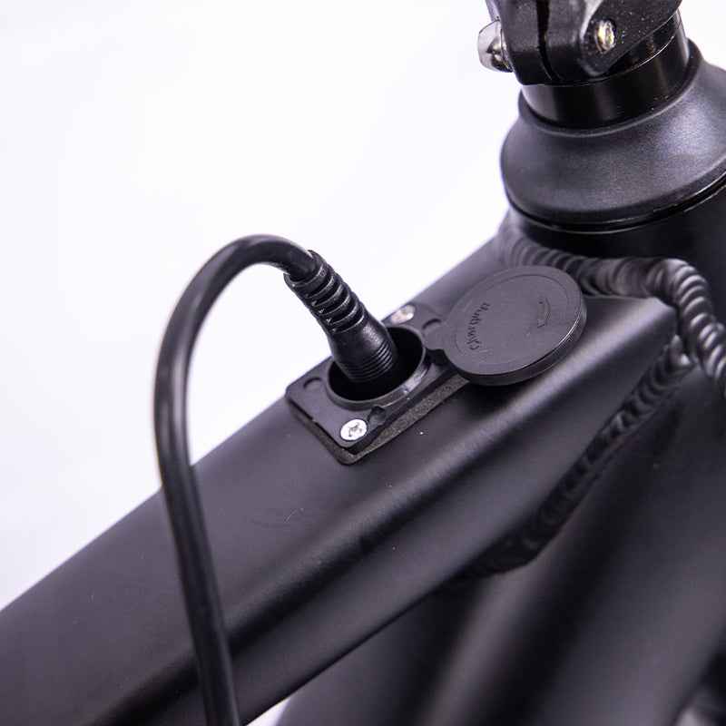 26'' Electric E-bike