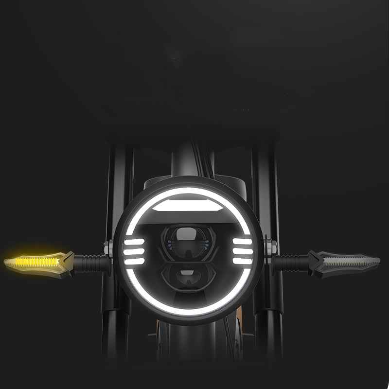 20 Inch Electric Bicycle