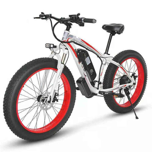 21 Speed Electric Bicycle